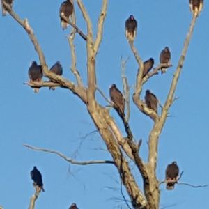 Meet your Posher, Jodi