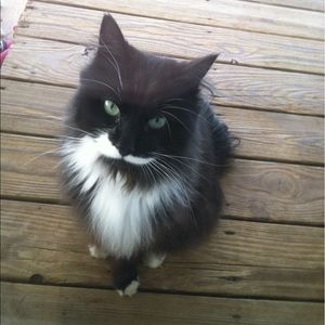 Meet your Posher, Annette