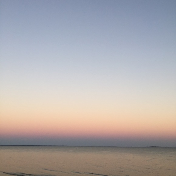 Meet your Posher, Sage - Picture 1 of 1