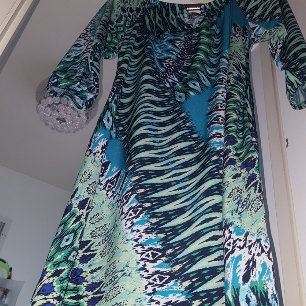 Shift Dress. - Picture 3 of 4