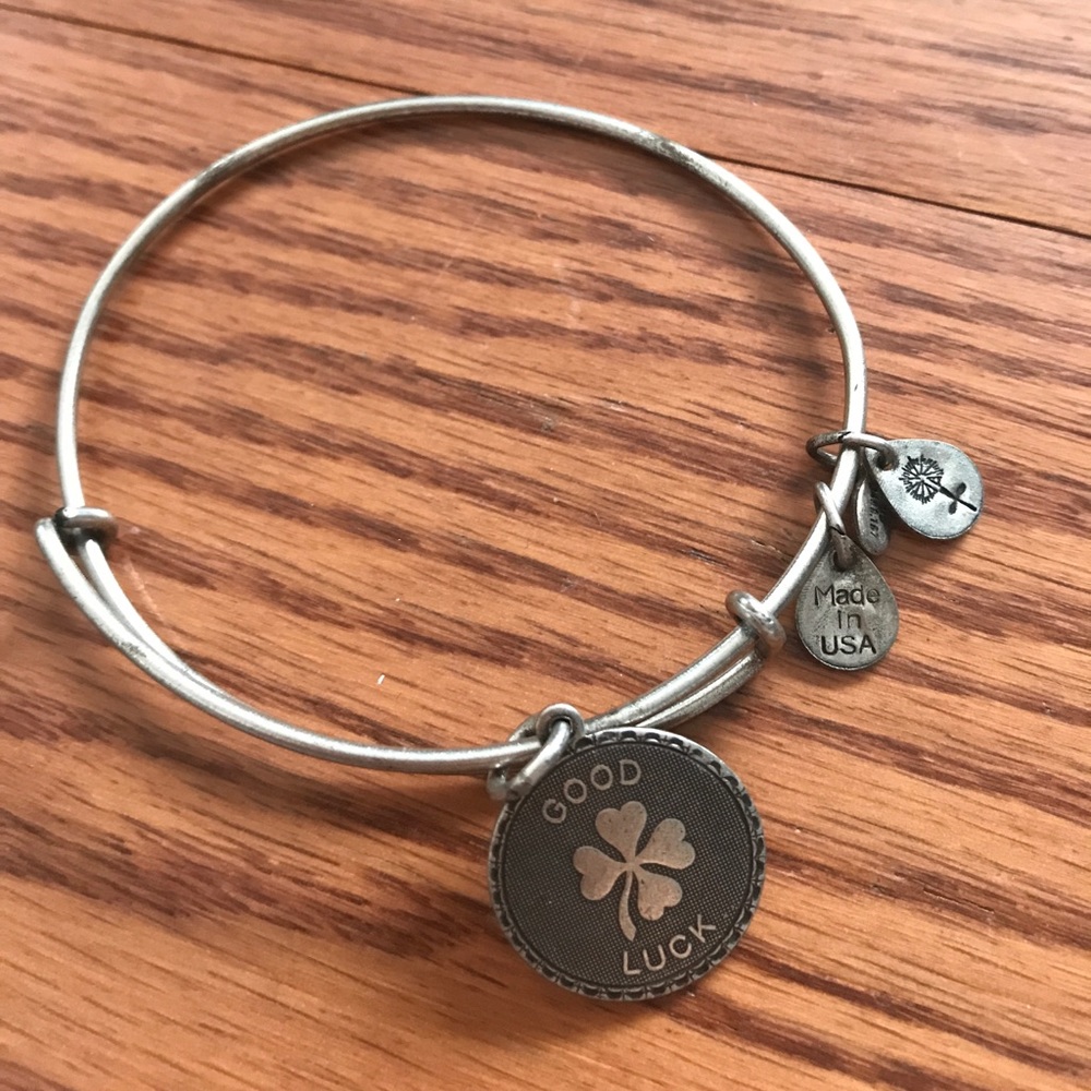 Alex & Ani good luck charm bracelet