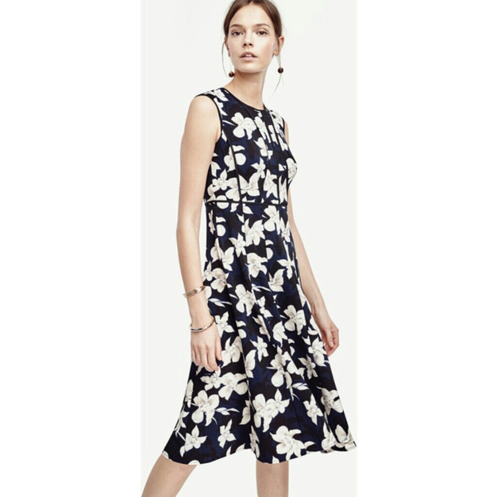 Ann Taylor Garden Blossom Fit and Flare Dress