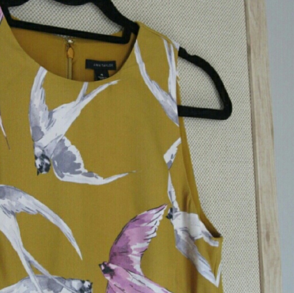 Ann Taylor Mojave Shift Dress sz 6