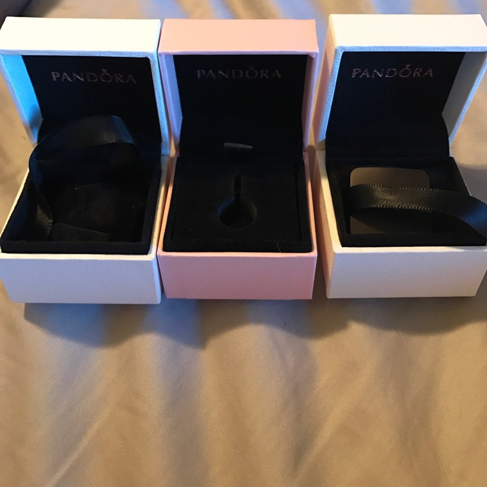 Pandora Charm Gift Boxes + Bag
