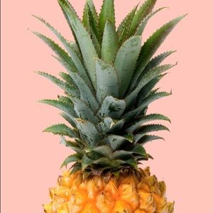 Meet your Posher, Ella