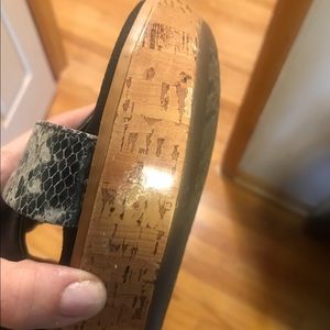 Vionics for earthmonkey only please