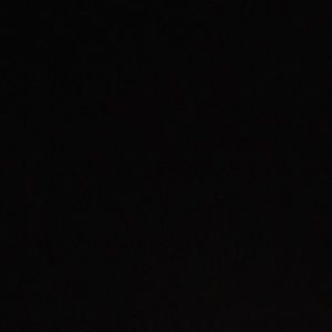 Meet your Posher, Kyra