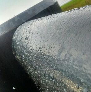 Meet your Posher, Isabella