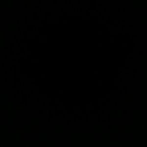 Meet your Posher, Julian