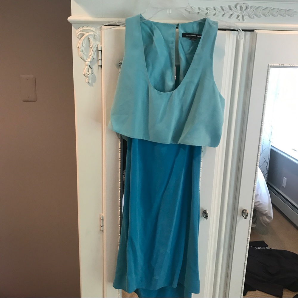 Alexander Wang two tone open back dress