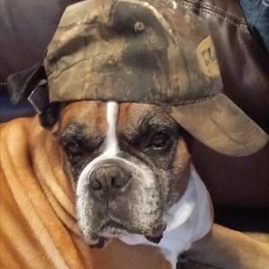 Meet your Posher, Halie