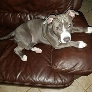 Meet your Posher, Connie