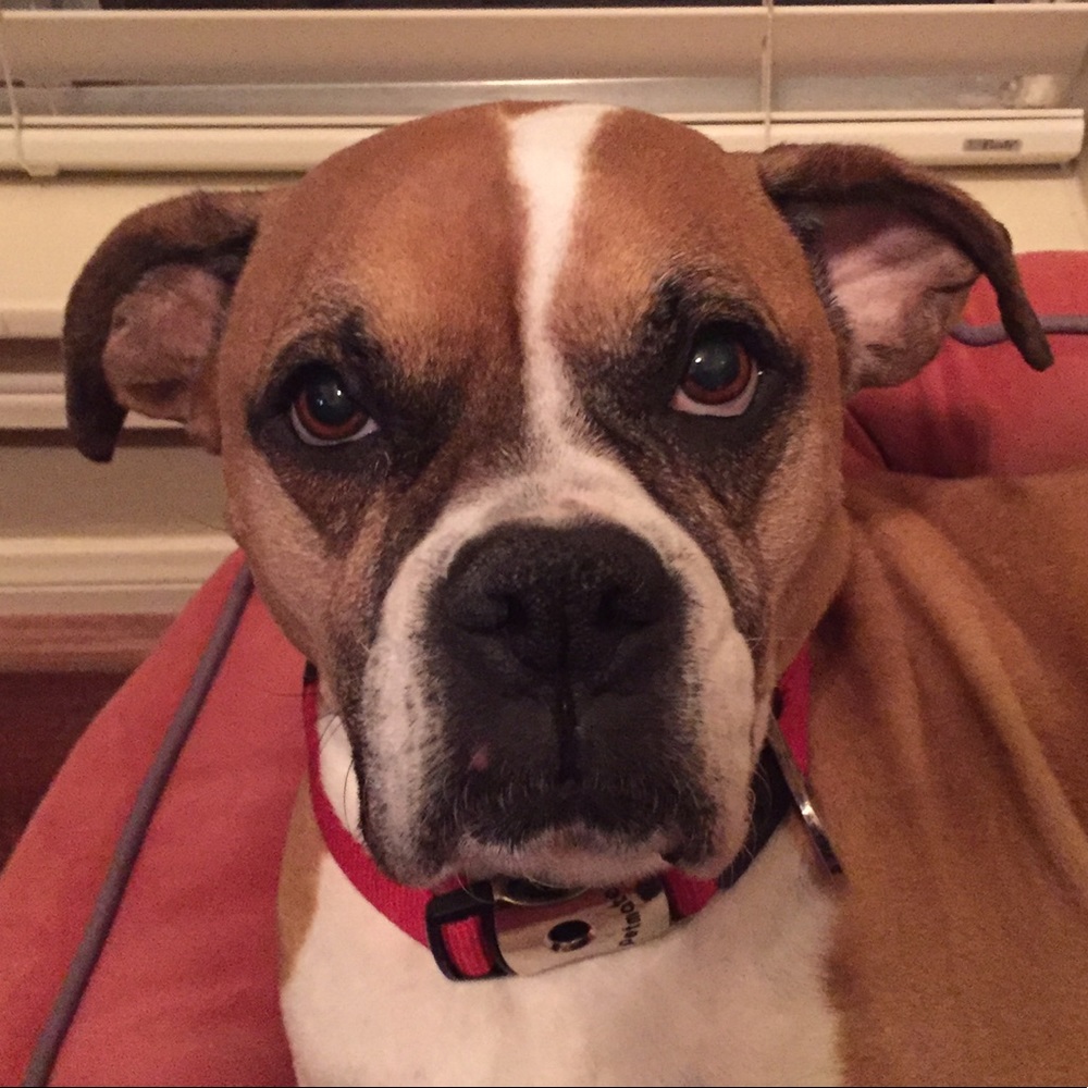 Meet your Posher, Helen