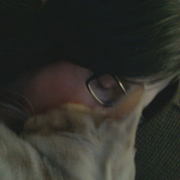 Meet your Posher, Traci - Picture 1 of 1