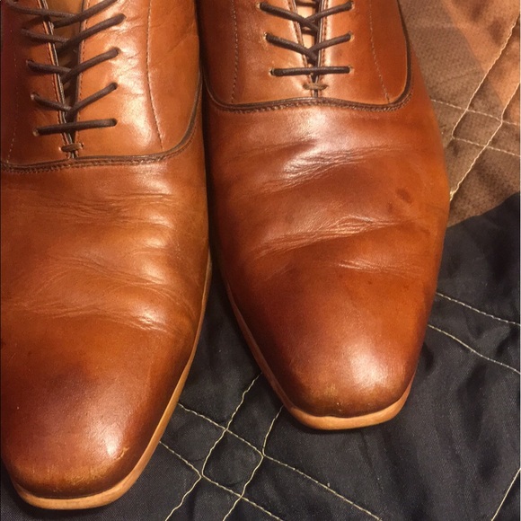 Aldo Wingtips