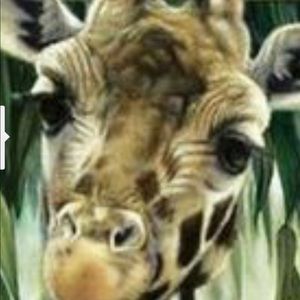 Meet your Posher, Shawn