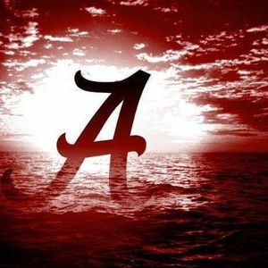 Meet your Posher, Jane