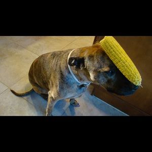 Meet your Posher, Hannah