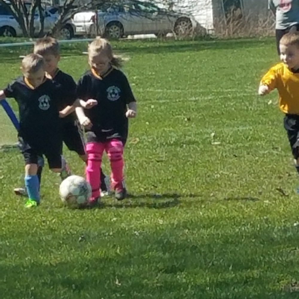 Meet your Posher, Patty