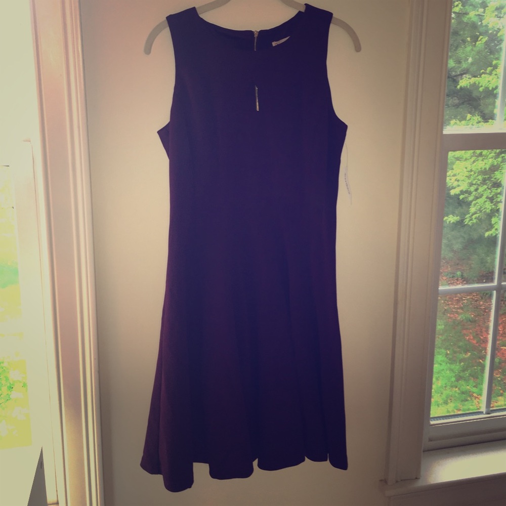 Size 10 NWT eggplant colored dress.  Fit and Flare