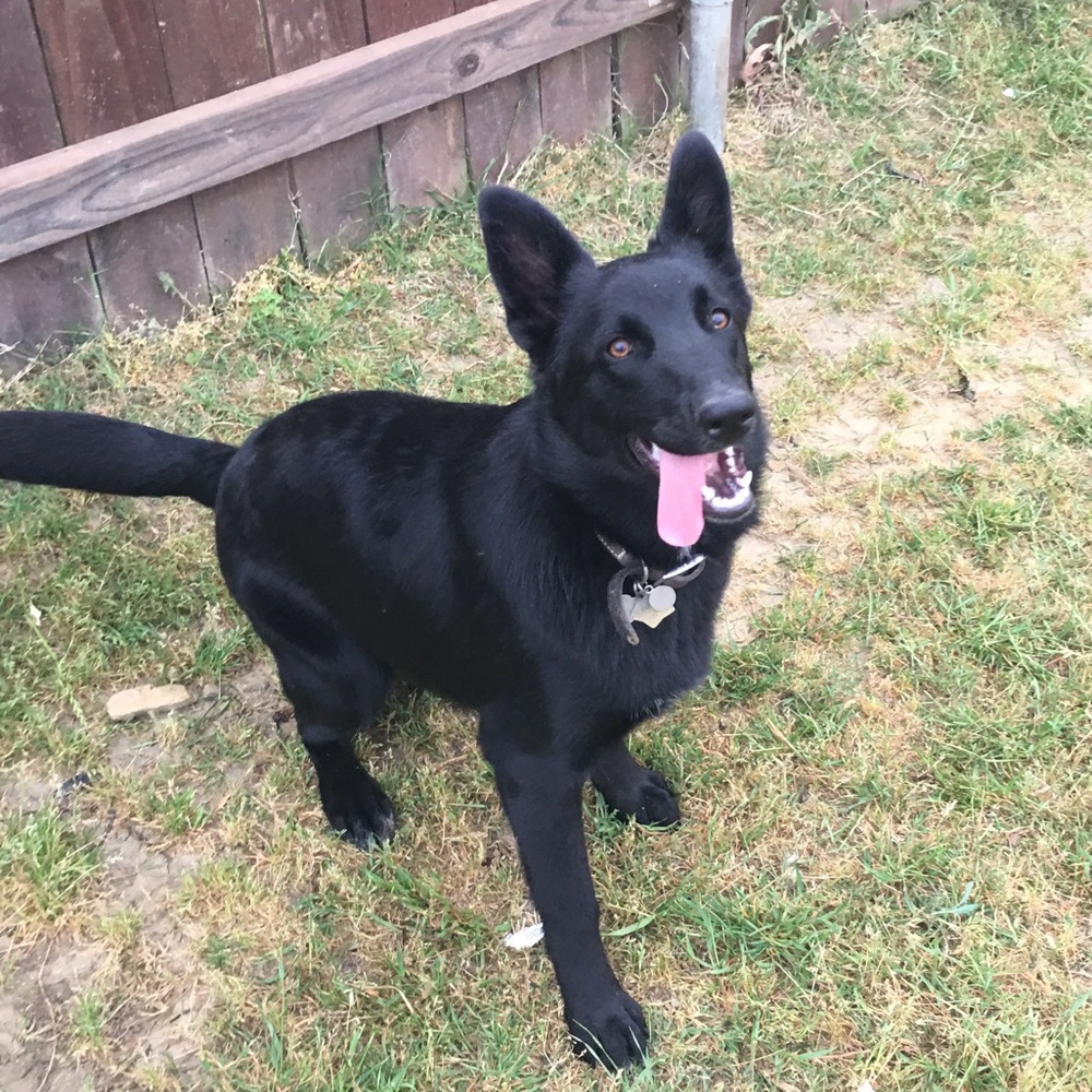 Meet your Posher, Chloe