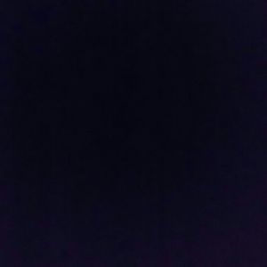 Meet your Posher, Max