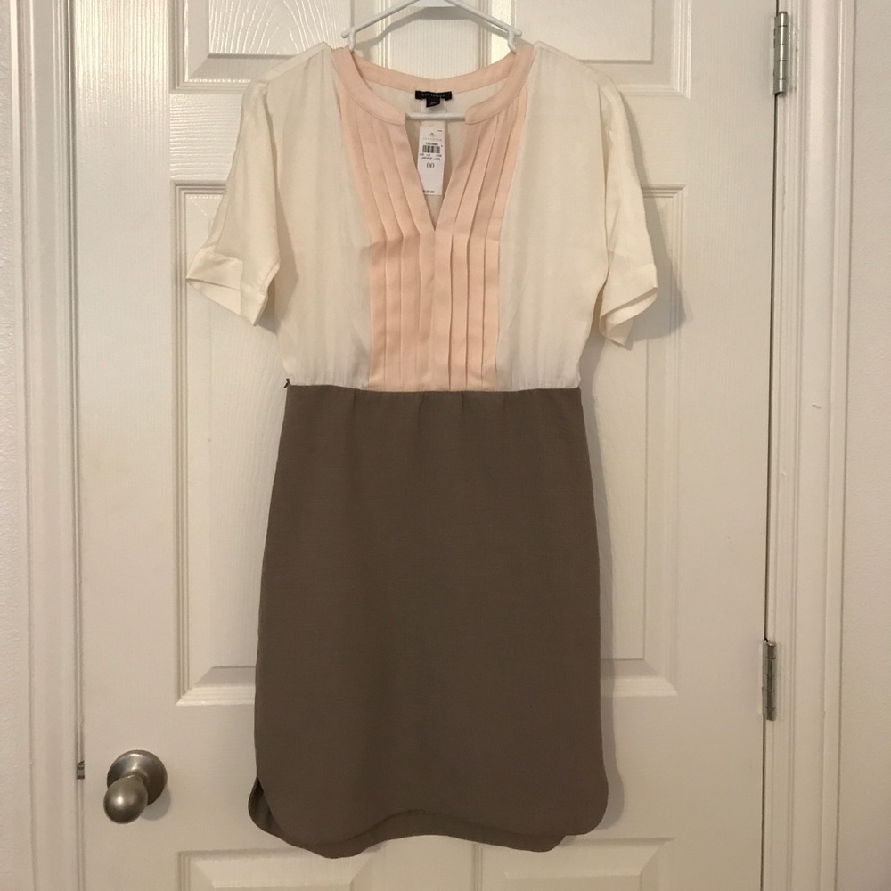 Anne Taylor classy work dress.