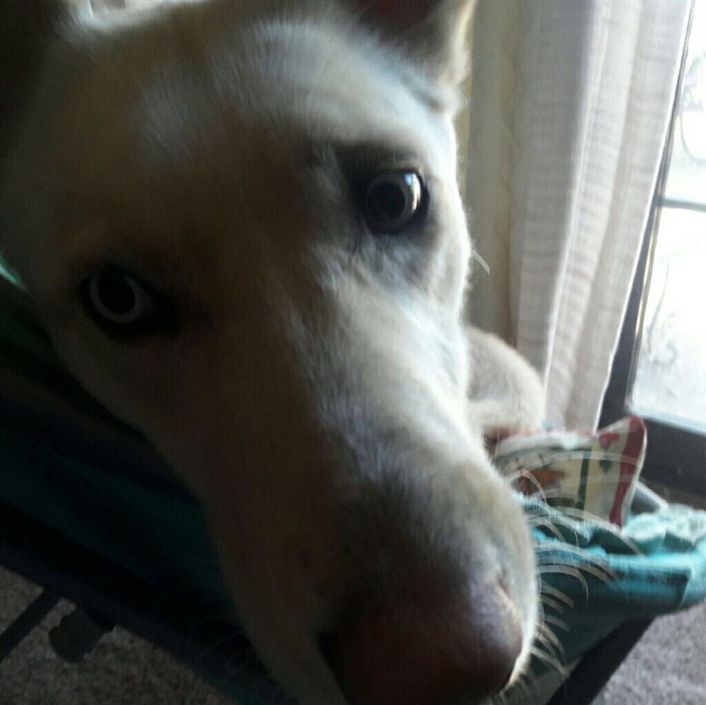 Meet your new posher ,Minga