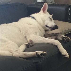 Meet your Posher, Barbara