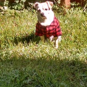 Meet your Posher, Jodi