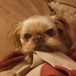 Meet your Posher, Carla