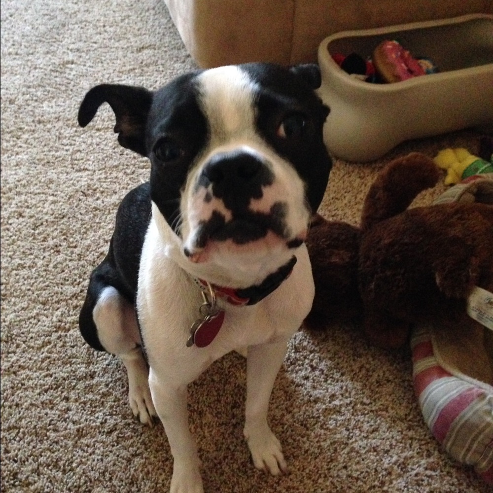 Meet your Posher, Laura