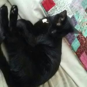 Meet your Posher, Gina