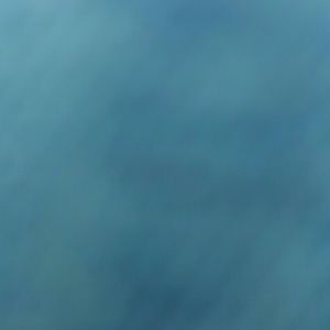 Meet your Posher, Lesly