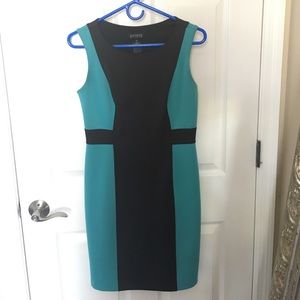 Blue/Black Bodycon Dress