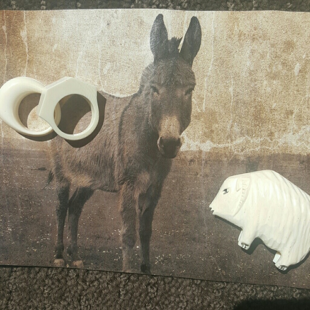 A touch of ivory to brighten your world