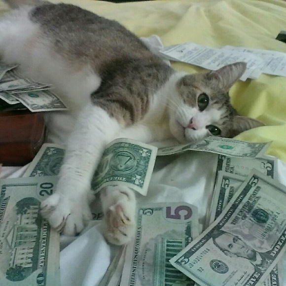 Meet your Posher, LuxLoot - Picture 3 of 3