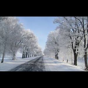 Meet your Posher, Trinh