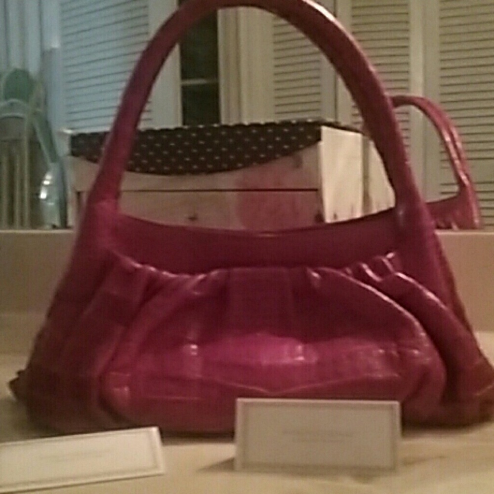 Nancy Gonzalez purse