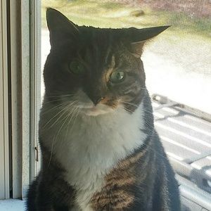 Meet your Posher, Pam