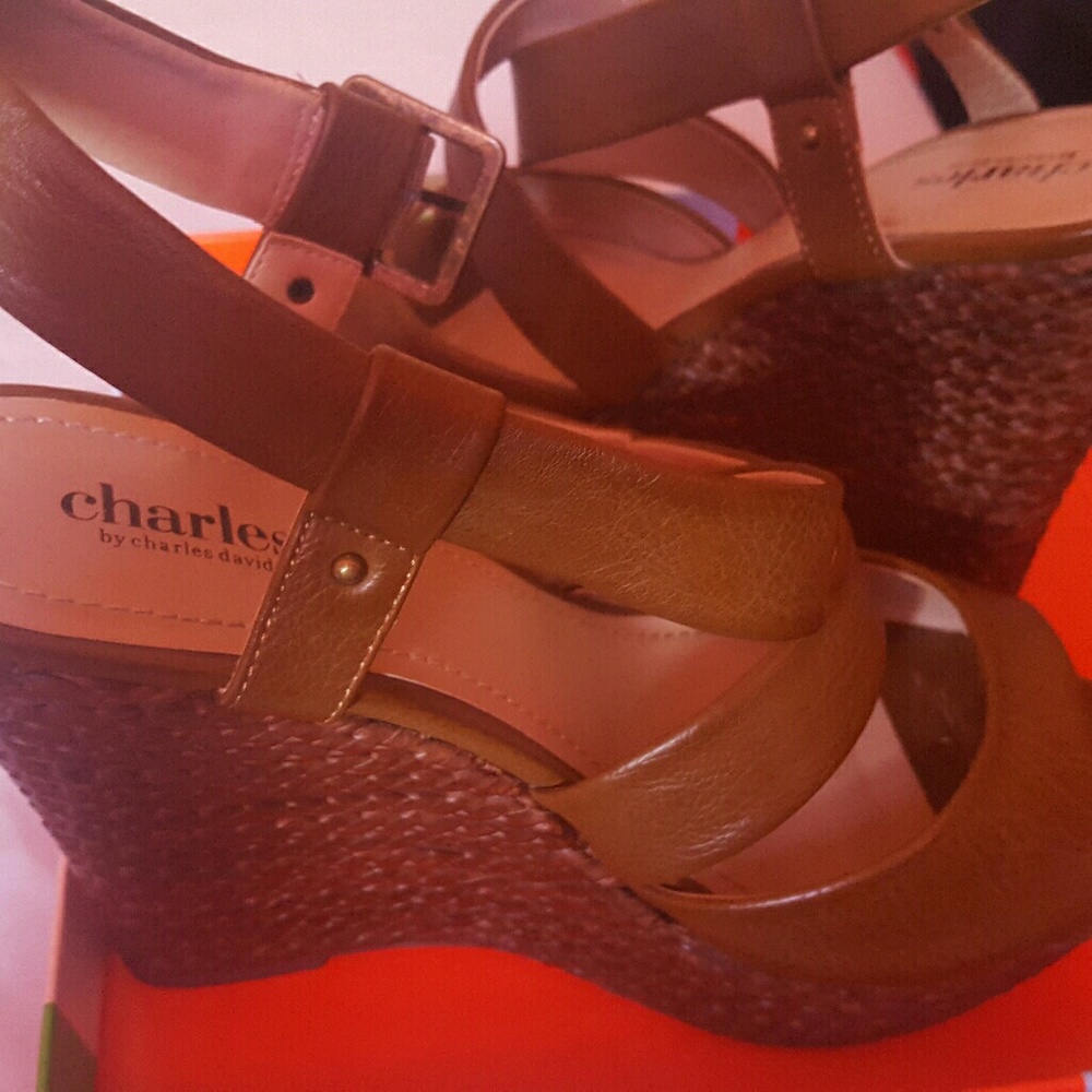 9.5 Charles David Alicia wedges