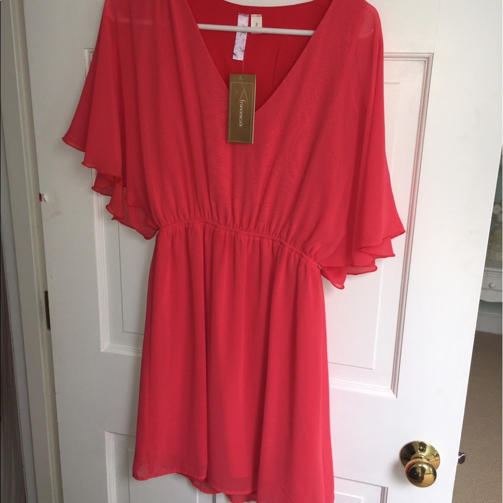 Francesca's Dress