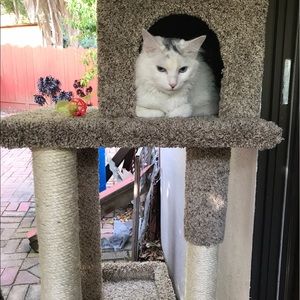 Meet your Posher, Senait