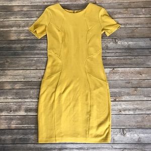 Asos Womens Miustard Yellow Career Dress 4