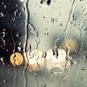 Meet your Posher, Trent