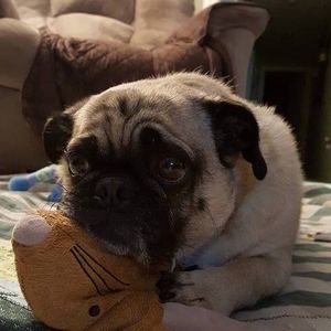 Meet your Posher, Karen