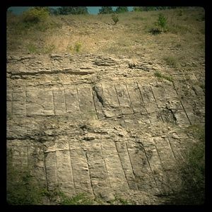 Meet your Posher, Love