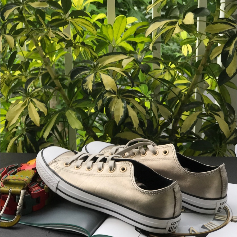 Converse CT Ox Portrait Grey Metallic W - Picture 1 of 8