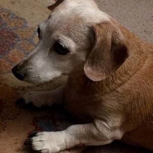 Meet your Posher, Monterey