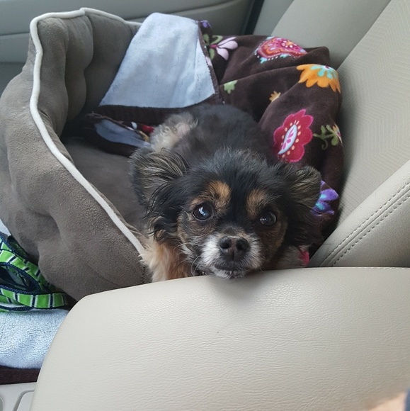 Meet your Posher, Chesley - Picture 2 of 3